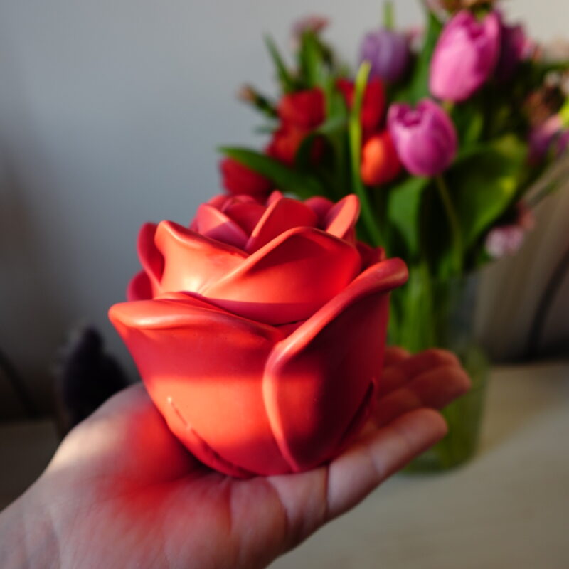 Róża czerwona 🌹
