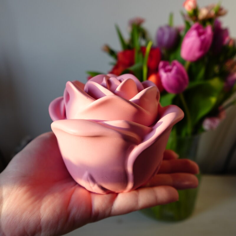 Róża różowa 🌸